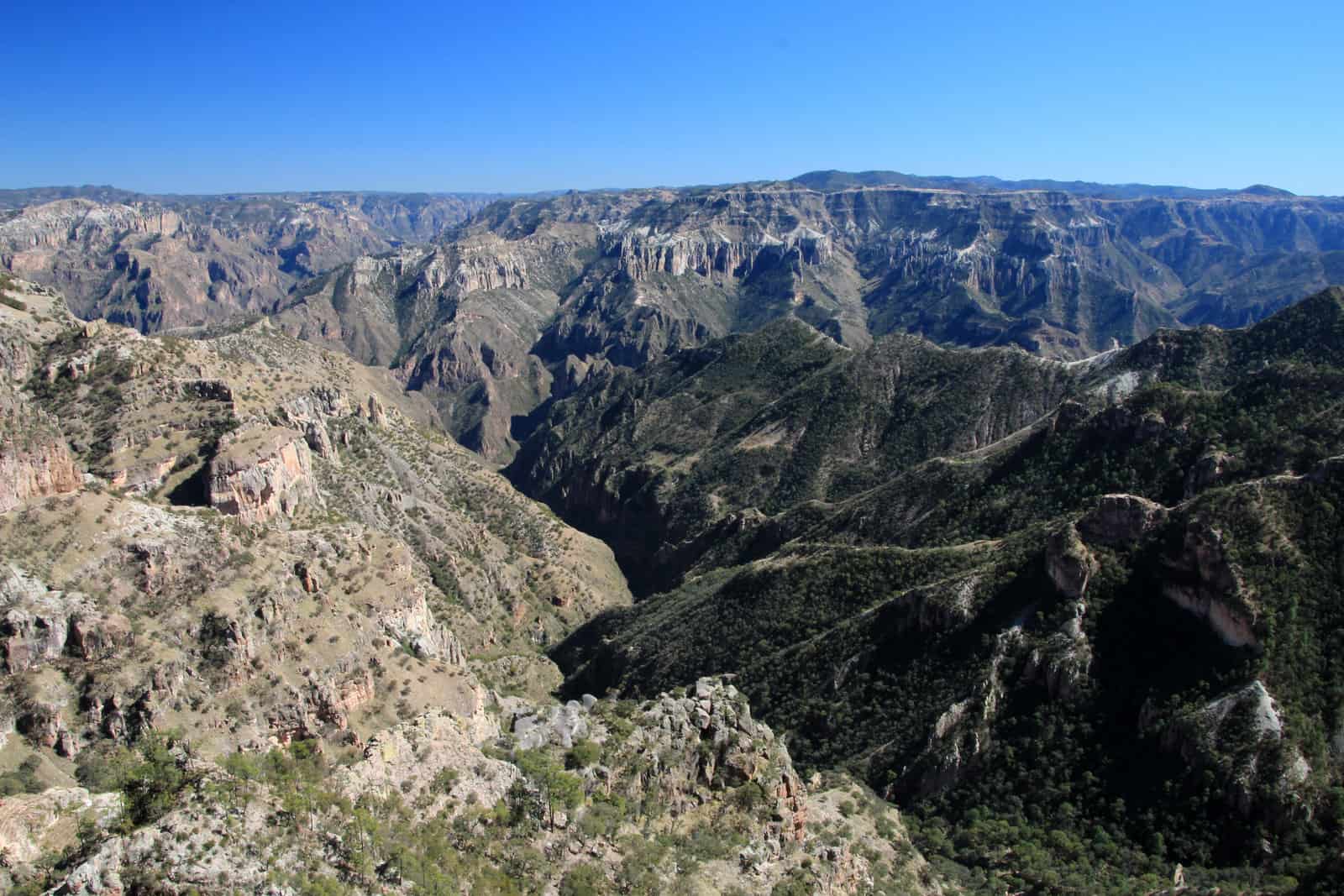 Una vista del cañón desde la cima de una montaña. Ideas de Negocios Rentables en Chihuahua