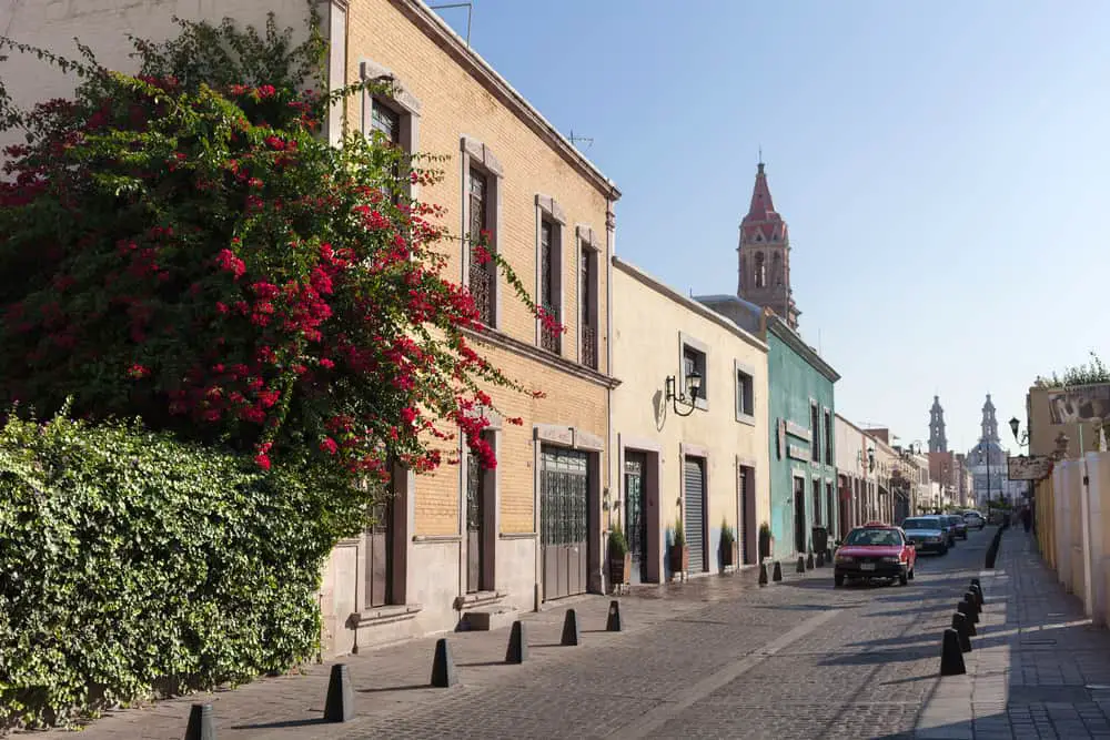 Ideas de Negocios Rentables en Aguascalientes. Una calle estrecha llena de edificios y flores.