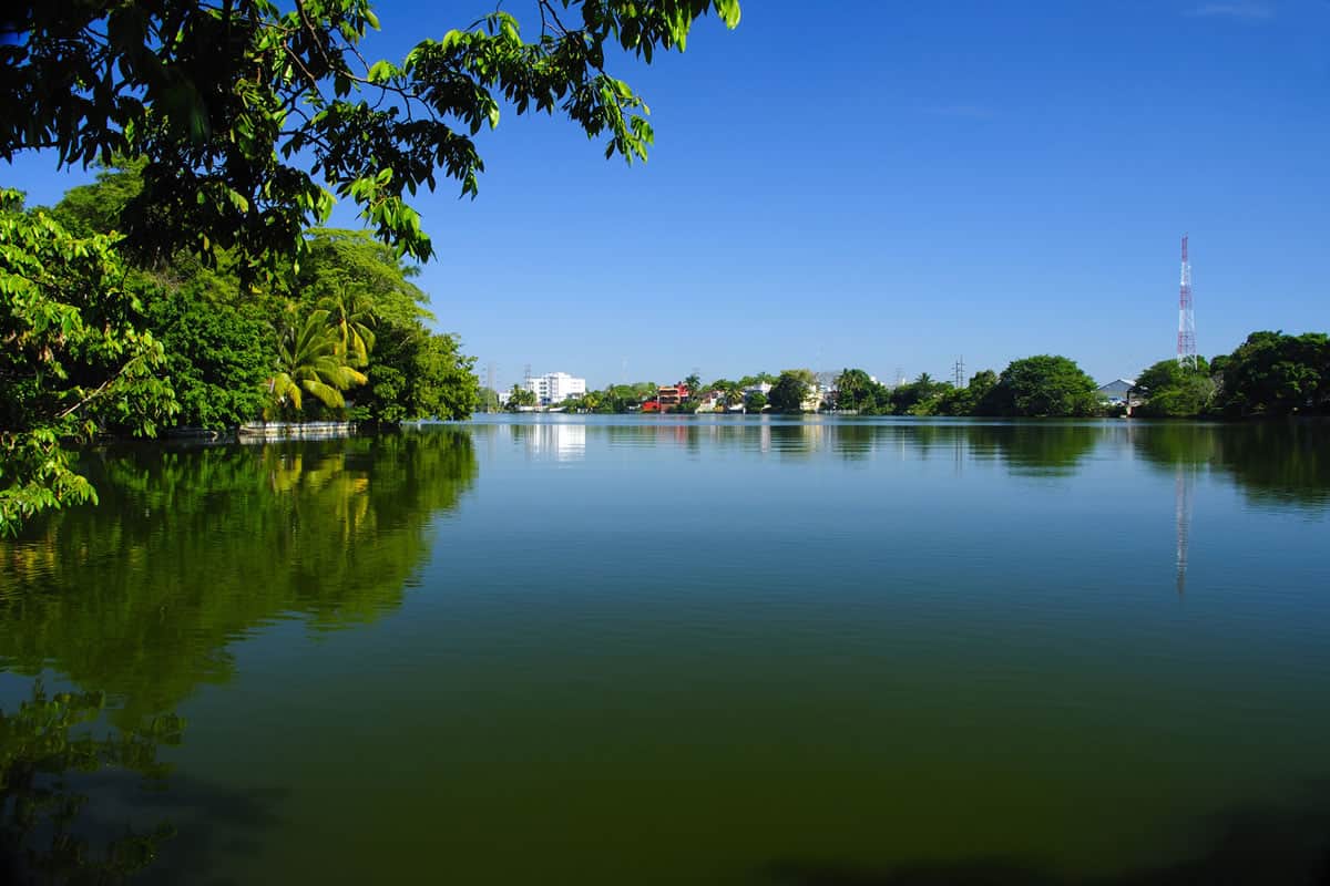 Un lago verde rodeado de árboles y edificios.